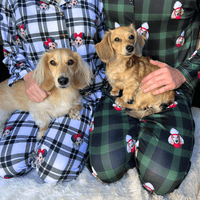 Custom pet apparel featuring matching dog pajamas