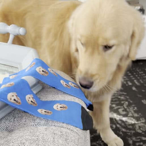 Custom pet socks featuring a personalized dog photo