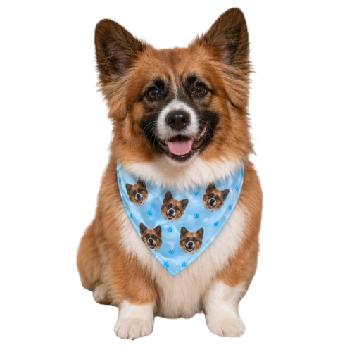 Custom Bandana