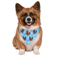 Custom Bandana