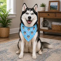 Husky wearing a personalized blue pet bandana indoors