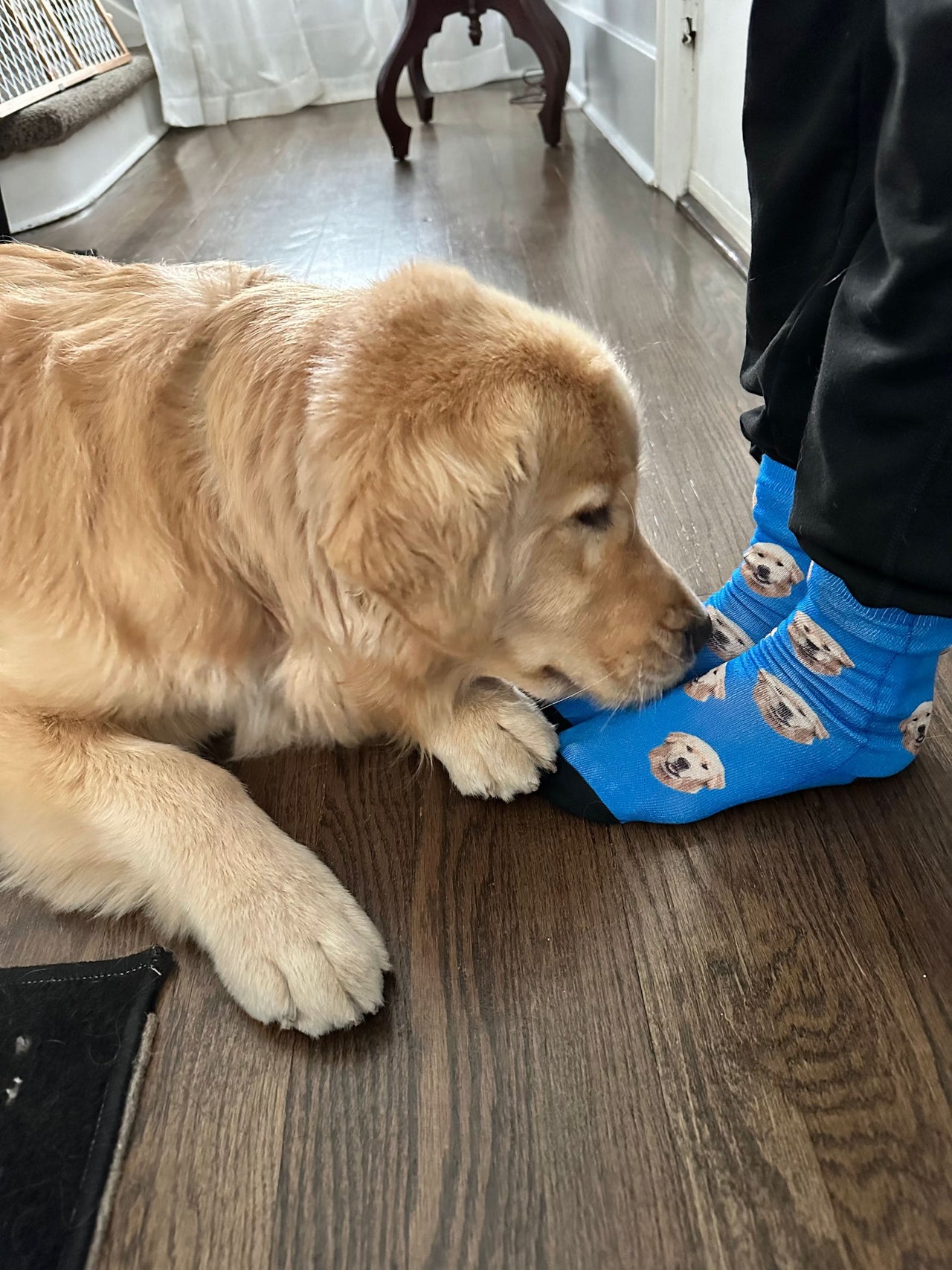 Pet face socks featuring a personalized dog design