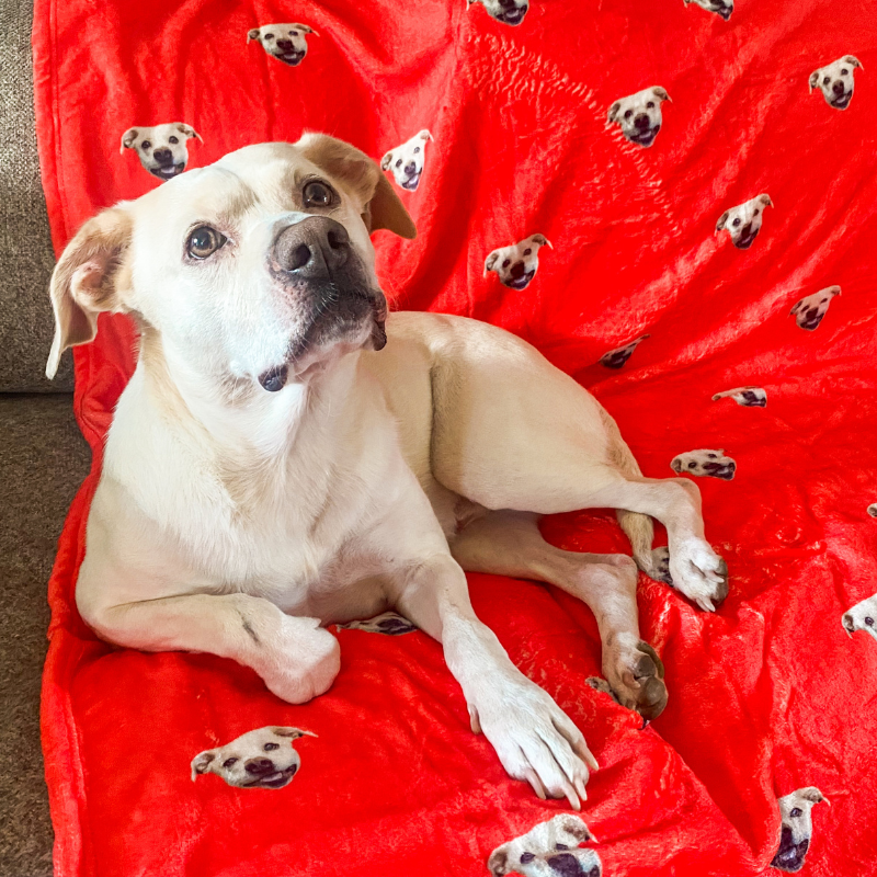 Custom pet blanket gift for a pet lover